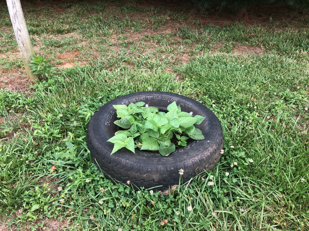 Reduce, Reuse, THEN Recycle