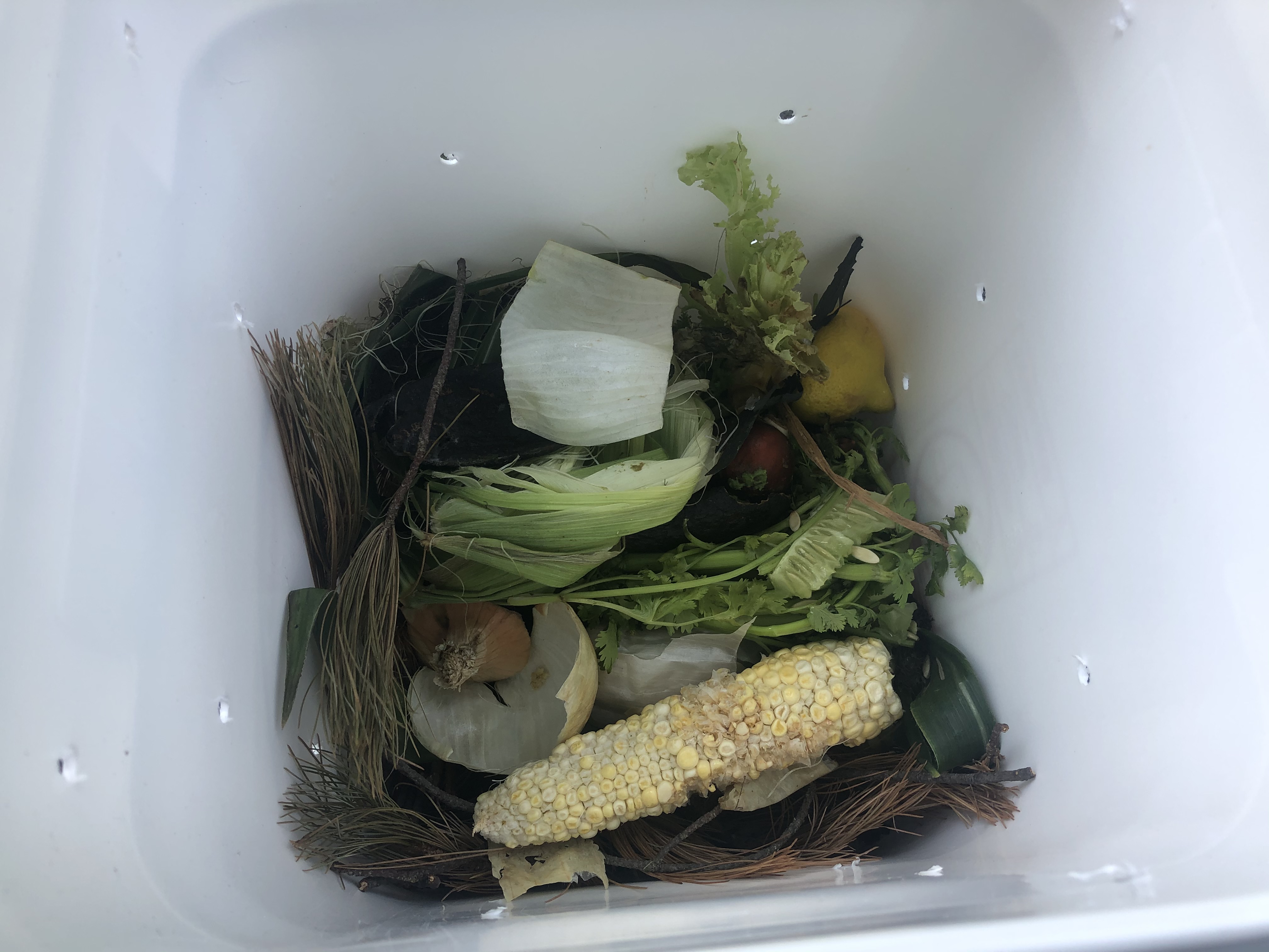 Making Your Own Compost Bin DIY – Sustainable Consumptions
